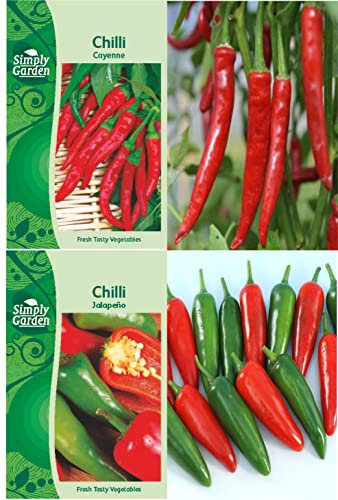 Garden Treasures Chilli Cayenne Jalapeno Seeds Collection Pack Grow Your Own