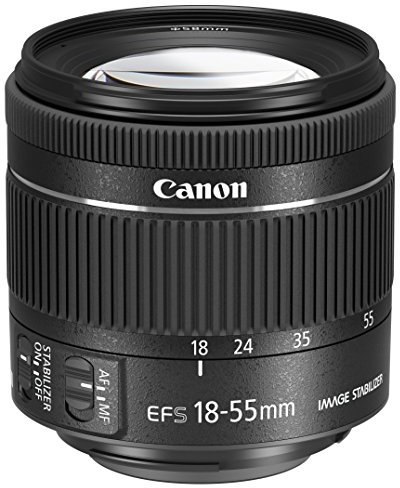 Canon EF-S 18-55 mm f/4-5.6 IS STM Lens for Camera - Black (Refurbished)