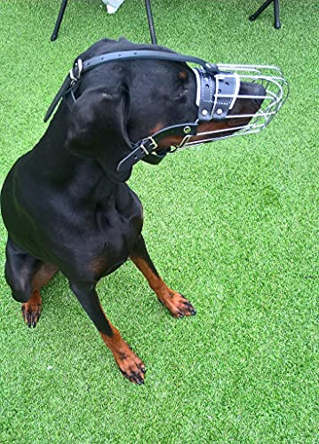 L&J Pets Uk MK 4D ,5D Muselière pour chien en fil métallique solide pour doberman, malinois et autres chiens (panier argent/cuir noir, T2 (K9))
