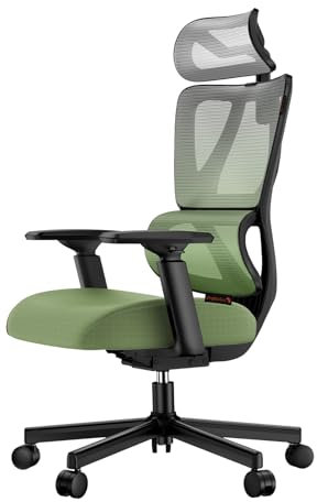 ProtoArc EC100 Ergonomic Office Chair – Computer Desk Chair for Work with 10cm Thicker Spring Cushion, Lumbar Support, Adjustable Armrest & Headrest, Mesh Swivel Gaming Chair for Home Office, Green