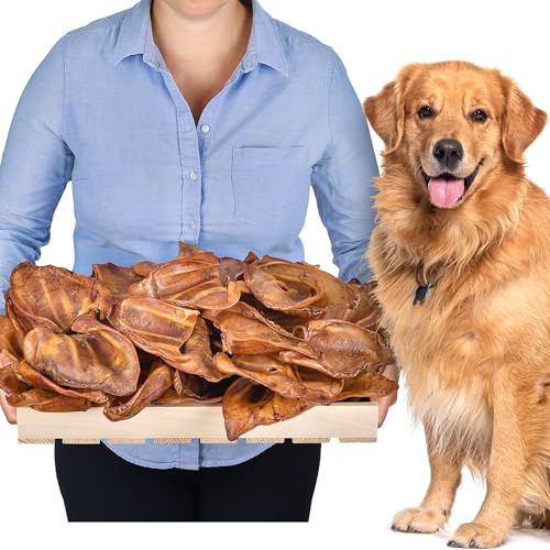 Orecchie di maiale per cani 50 pezzi (2kg) | Snack naturali di orecchie di maiale intere essiccate | 100% naturali | Masticazione duratura | Senza cereali | Ideali per cani piccoli e grandi
