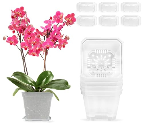 duozoanz Pot Orchidée Transparent 6 Pièces Cache-Pot 10cm Pot de Fleur Interieur Pots de Fleurs avec Trous Drainage et Soucoupes pour Plante Intérieur Exterieur