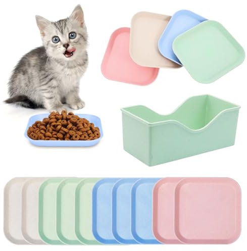 Herbst 10 Stück Katzennapf, Katzennapf Flach Quadrat Fressnapf Katze Bunt Katzenfutter Katzen Napfset mit Aufbewahrungsbasis, Katze Katzenteller Katzennäpfe für Trockenfutter und Nassfutter