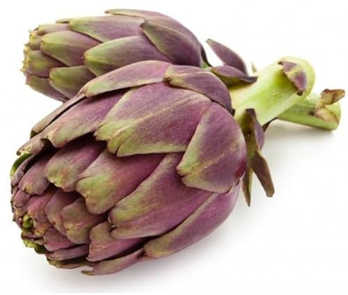50 Semi di Carciofo Violetto di Romagna, Varietà Francesino, Cynara Scolimus, Carciofi Senza Spine
