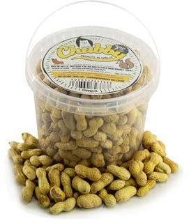 Chubby Peanuts in Shells (3 Litres), Monkey Nuts For Squirrels, All Natural Peanuts in Shells for Squirrels and Other Wildlife