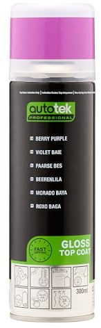 AutoTek Professional Enamel Berry Purple Spray Paint, Aerosol Spray 300 ml