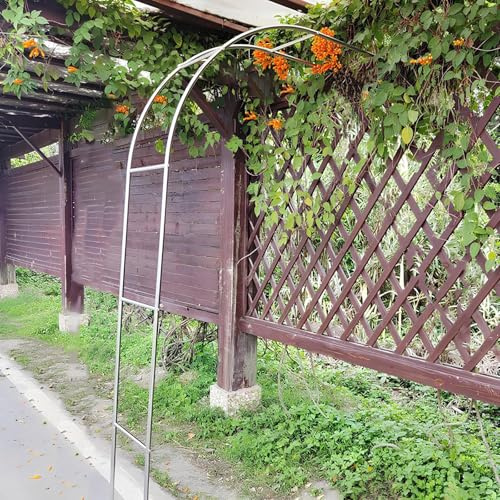 Arche de jardin en acier inoxydable, demi-arc de rose pour plantes grimpantes, tonnelle tubulaire extérieure (l 2,2 x H 2,4 m/2,2 x 2,4 m) – Treillis de jardin pour fleurs et vignes