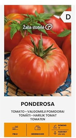 Zalia stotele | TOMATE - PONDEROSA Graines | Graines de Légumes | Tomate Graines | Graines de Plantes | Graines de Jardin | 1 Paquet