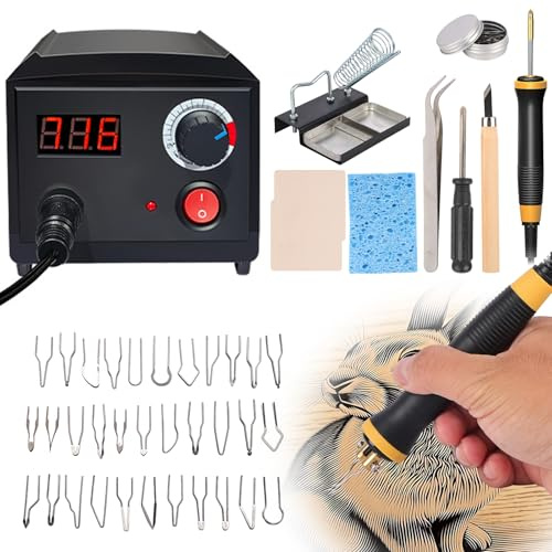Pyrography Machine, 60W Holzbrenner Set mit 2 Stiften 30 Arten von Heizdrähten, 6 Schönheitstipps, einstellbare Temperatur 200–750 ℃, für Holz, Leder, Kunsth, werkKürbis