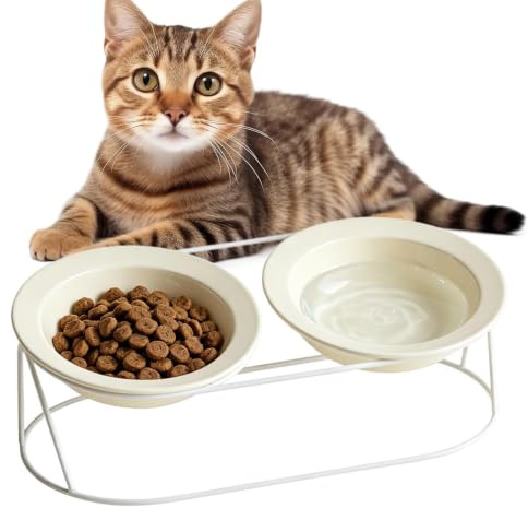 Förhöjd Kattmatsskål Stänkskydd vattenskål | Bred Öppning Halsskydd Upphöjd Kattmatsskål För trötthetslindring inomhus utomhus resa dagligen veterinär kattunge valp