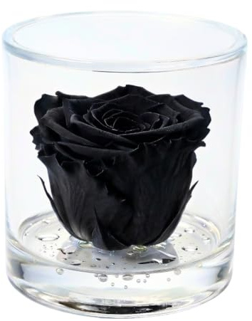 Box Tondo con Rosa Rossa stabilizzata Profumata, Box Trasparente da 9cm con Rosa Rossa Vera Eterna | Idea Regalo Natale, Fidanzata,Compleanno, Rose stabilizzate Regalo | Fatto in Italia (Nero 1047)