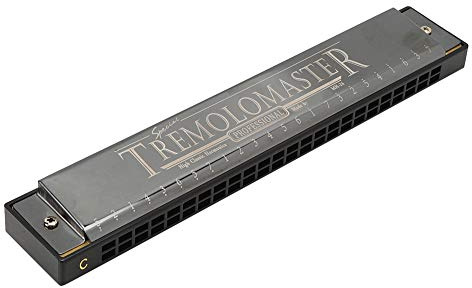 24 Hole C Key Harmonica for Beginners, ABS Resin Body | Phosphor Bronze Reeds for Clear Tone, Musical Note Markings on Cover, Brushed Stainless Steel Plate