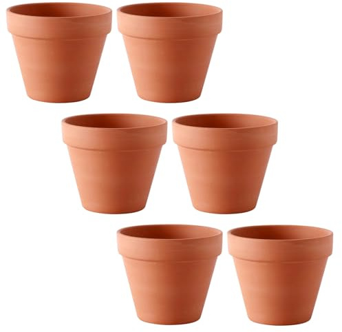 Veebmys 6 Vasetti In Terracotta Per Piantine, Piccoli Vasi In Terracotta Con Fori Di Drenaggio, Fioriere Riutilizzabili Adatte Per Cactus e Fiori, Per Uso Orticoltura