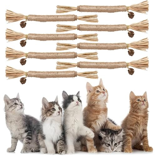 8 Katzenminze Stick,Interaktive Katzenminze Sticks Für Katzen,Katzen Kaustangen Selbstbeschäftigung,Kaustangen Katze Wird für zahnpflege und Gegen Mundgeruch