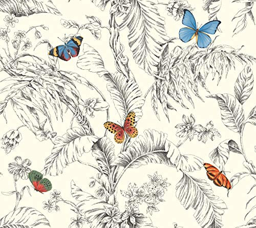 York Wallcoverings AF2025 Ashford Toiles Papillon Removable Wallpaper, Red/Blue/Green/Yellow/Black