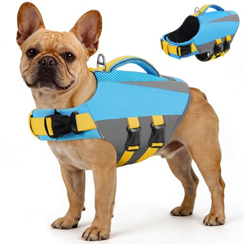 Queenmore Dog Life Vest for Swimming Boating, Adjustable Medium Dog lifejacket with Durable Rescue Handle, Puppy Life Vest with Enhanced Buoyancy for Swimming Pool Beach Boating, Blue, M