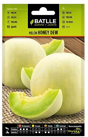 Semillas Batlle Melón Honey Dew