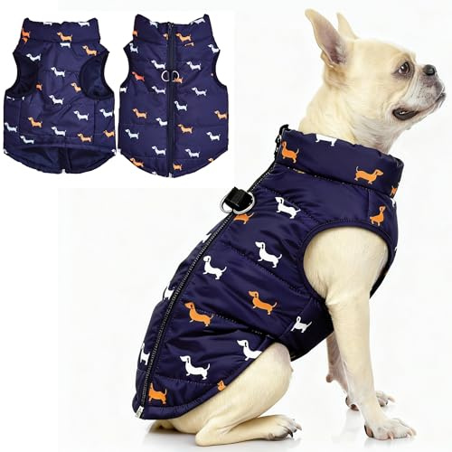 Asmea Manteau Chien de Petite Moyenne Taille Manteaux d'hiver pour Chiens Légèrement Imperméable Veste Chien Manteau Chiens avec Trous pour Harnais Noel Manteaus Teckel Chihuahua Bleu XS