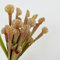 AtHomeYuyue 5 PCS 17.5 Artificial Carnivorous Pitcher Plant Simulation Sarracenia for Home Decoration and Green Leaf,Wedding Festival Decoration.