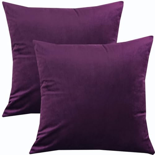 2er Set Samt Kissenbezüge Kissenhülle Dekorative Zierkissen Sofakissen Couchkissen Dekokissen Bezug Sofa Kissenbezug mit Reißverschluss Couch Zierkissenbezug(Aubergine,50x50cm(2pcs))