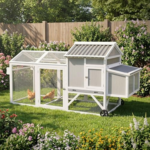 ECD Germany Pollaio per Galline da Esterno in Legno Massello e Rete Zincata, Casetta per Galline Ovaiole con Recinto Esterno e Ruote XXL 83 x 220 x 109 cm, Pollaio con Nido e Area di Pascolo