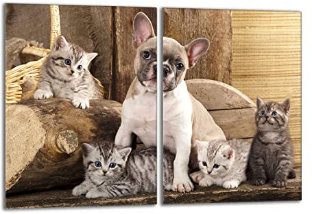 DarHaus Tabla de cortar decorativa de cristal templado y cubre vitro, Placa protectora de vitrocerámica 40 x 52 cm 2 piezas, para inducción, protección contra salpicaduras, decoración, PERRO