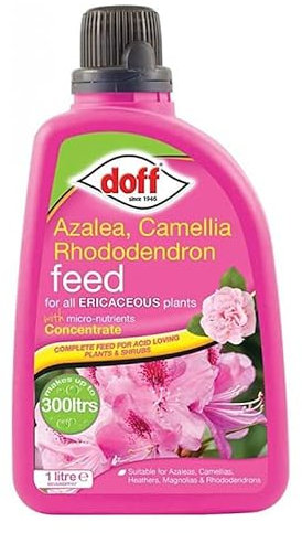 SuperGift.com Azalea, Camellia & Rhododendron Feed, Specially Formulated to Improve Blooms in Acid Loving Plants (1L Azalea, Camellia Rhododendron Feed)