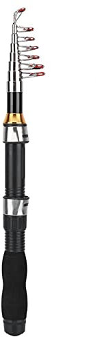 Mini Taschen Angelrute Pen Angelrute für Seefischerei Salzwasser Süßwasserfischen(1.7m)