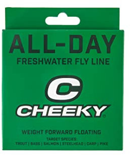 Cheeky Angelschnur, Süßwasser-Fliegenschnur, schwimmend, Minze/Stein, 7 WT