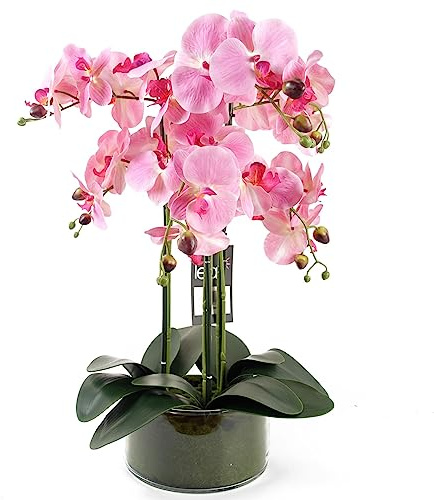 Leaf Design UK Realistic Artificial Orchid Flower Display in Pot, 50cm Pink/Glass Planter, 50cm Pink/Glass Planter
