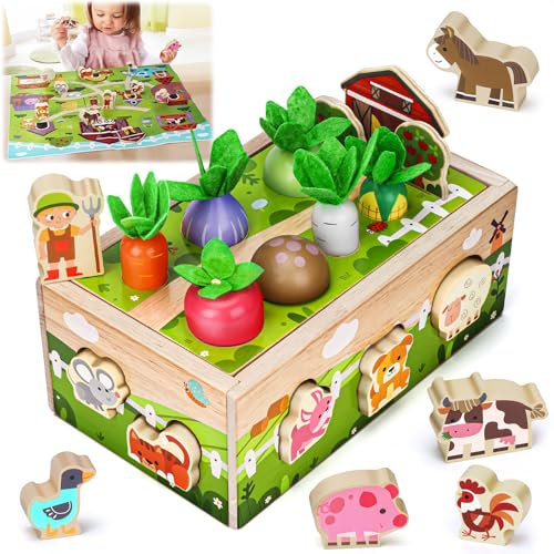 Montessori Spielzeug ab 1 2 Jahr: Geschenke ab 1 Jahr Junge Mädchen Holzspielzeug Kinderspielzeug ab 1 2 Jahr 12 18 Monate Farmspiel Karotten Steckspiel ab 1 Jahr Motorikspielzeug Geburtstag Ostern