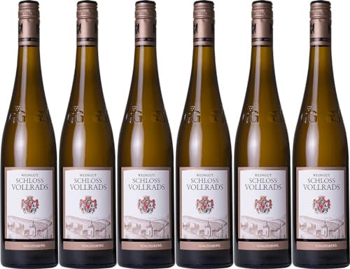 Schloss Vollrads Schlossberg Riesling Reserve 2022 Trocken (6 x 0.75 l)