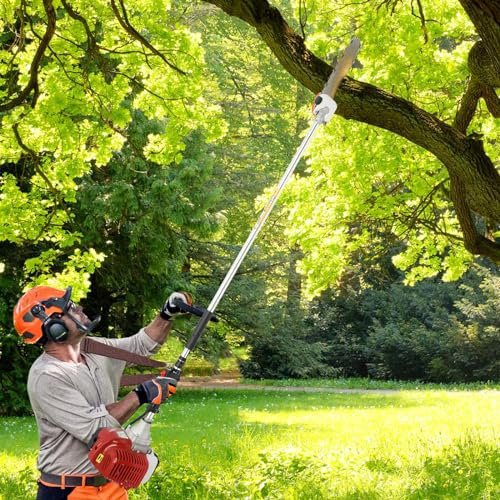 Benzin Hochentaster, 1.25 KW 43CC 2-Takt-Motor Professioneller Astsäge Schnellschnitt 1,5m Stablänge für Pruner Tree Baumschnitt im Garten