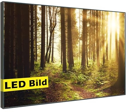 Generisch Leuchtbild I Wald mit Sonnenstrahlen I LED Wandbild I Leuchtende Natur Leinwand mit Rahmen - Made in Germany (Wald mit Sonnenstrahlen, 75x50 cm, Rahmen: Holz Flora)