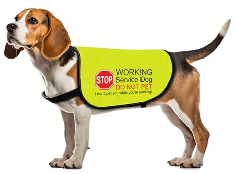 Service Dog Jacket Vest - I Don't Pet You While You're Working - Large