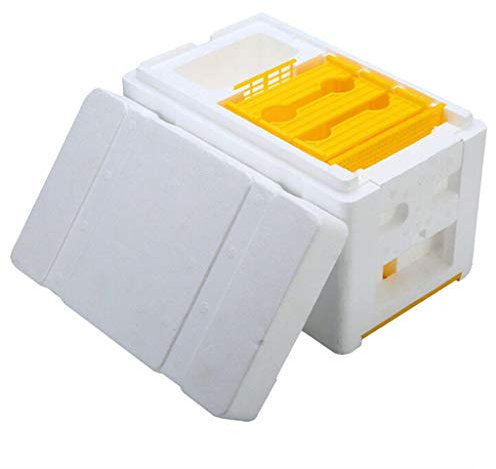 Fenteer Bienenbeute Rähmchen Bienenstock, Bienenzucht Königin Zucht Box Bienenkönigin Box, EPS Ernte Bee Hivess Bestäubung Box, Werkzeuge Zubehör zur Bienenzucht