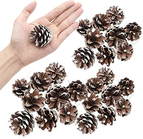 36 Stück Tannen Zapfen Kiefernzapfen Natur Tannenzapfen 4cm Echte Kleine Tannenzapfen Braune Tannenzapfen Getrocknete Tannenzapfen Natürliche Tannenzapfen Ornament für Weihnachtsdeko Adventsdeko