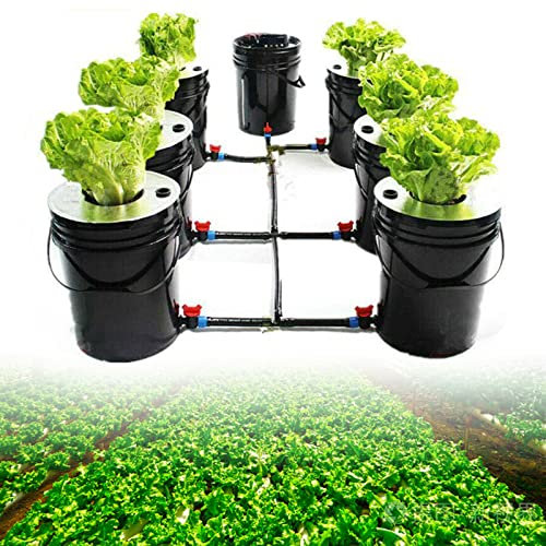 Esyogen Hydrokultur DWC Grow System Kit 20Lx7 Hydroponisches Anzuchtsystem für Haushalt und Küche
