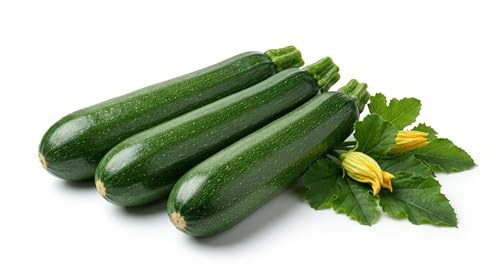 Semi di Zucchino Diamant Hybrid 6g | Varietà Ibrida Produttiva | Semi da Orto Alta Germinazione | Zucchine Verdi Ideali per Orto, Vaso e Balcone | Sementi Ortaggi Facili da Coltivare