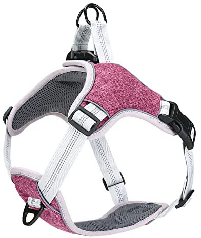Hundewestengeschirr, Verstellbare, Reflektierende, Weich Gepolsterte Haustierweste Mit Haken Und Toroid-Hundezuggeschirr Für Das Training, Jagen, Spazierengehen(L)