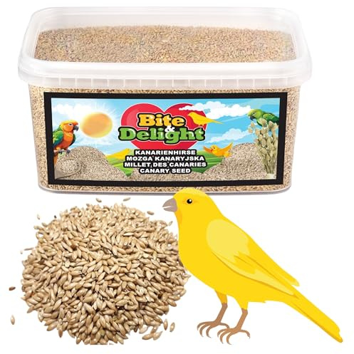 Bite & Delight 4kg Graines de Canaris - Alpiste Pur pour Oiseaux, Perruches, Canaris - Nourriture pour Oiseaux, Graines de Canaris