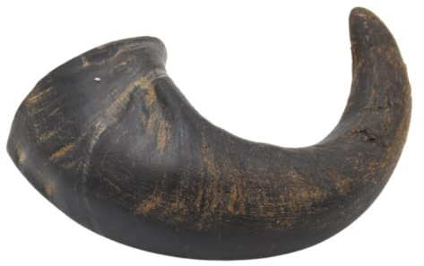 Express Pet Supplies Medium Buffalo Horn 5 Pack Dog Treat Chew