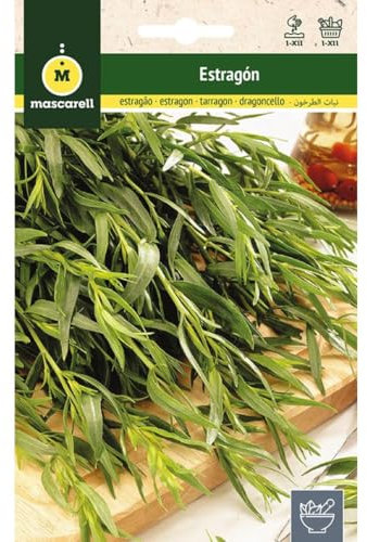Mascarell Semillas, ESTRAGÓN, Semillas de Hierbas Aromáticas para Plantar, Crea tu Propio Huerto en Casa, 0,2 Gramos
