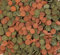 Wohnkult Hausmarke Mini Wafers Spirulina Color und Mix für alle Corydoras u. Bodenbewohner Krebse Garnelen UVM. TOP Futter Fischfutter (1000 ml Mix)