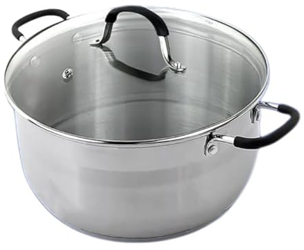 Reldor Stainless Steel Stock Pot with Glass Lid – 32cm Cooking Pot with Silicone Handles, Frying Saucepan Casserole Dish– Kitchen Cookware, Induction Compatible, Dishwasher Safe