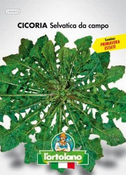 Sementi orticole di qualità l'ortolano in busta termosaldata (160 varietà) (CICORIA SELVATICA DA CAMPO)