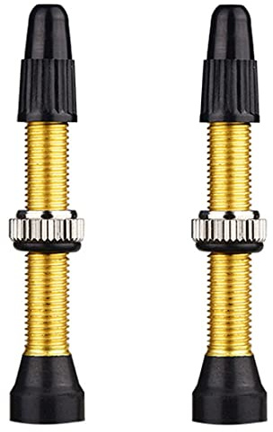 2 stycken ventiladapter, set adapter för bollballong, gymnastikboll och luftmadrass, cykelventiladapter, DV och SV till AV AV till DV SV till DV reservventilkåpor för AV DV och SV Valve Cap