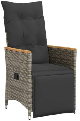 vidaXL Sillón reclinable de jardín con Cojines ratán sintético Gris, Silla de Patio reclinable, Asiento de jardín reclinable, Tumbona