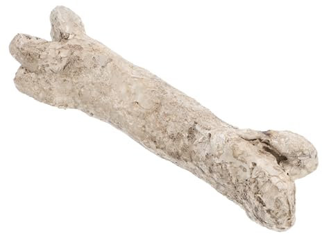 POPETPOP Reptilien Versteck Aus Resin Dekoratives Knochenmodell Für Terrarium Versteck Für Schildkröten Und Andere Haustiere Schafft Natürliche Atmosphäre Langlebig Und Stabil