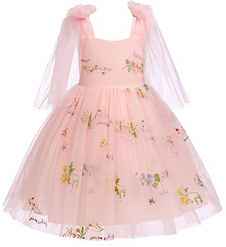 Blumenm?dchen Kleid M?dchen Blumen Stickerei Tutu T?llkleid Prinzessin Partykleid Baby Taufkleid Festliches Festkleid Hochzeit Ballkleid Abendkleid Erstkommunion Kleider Fee Kost?m Rosa 3-4 Jahre